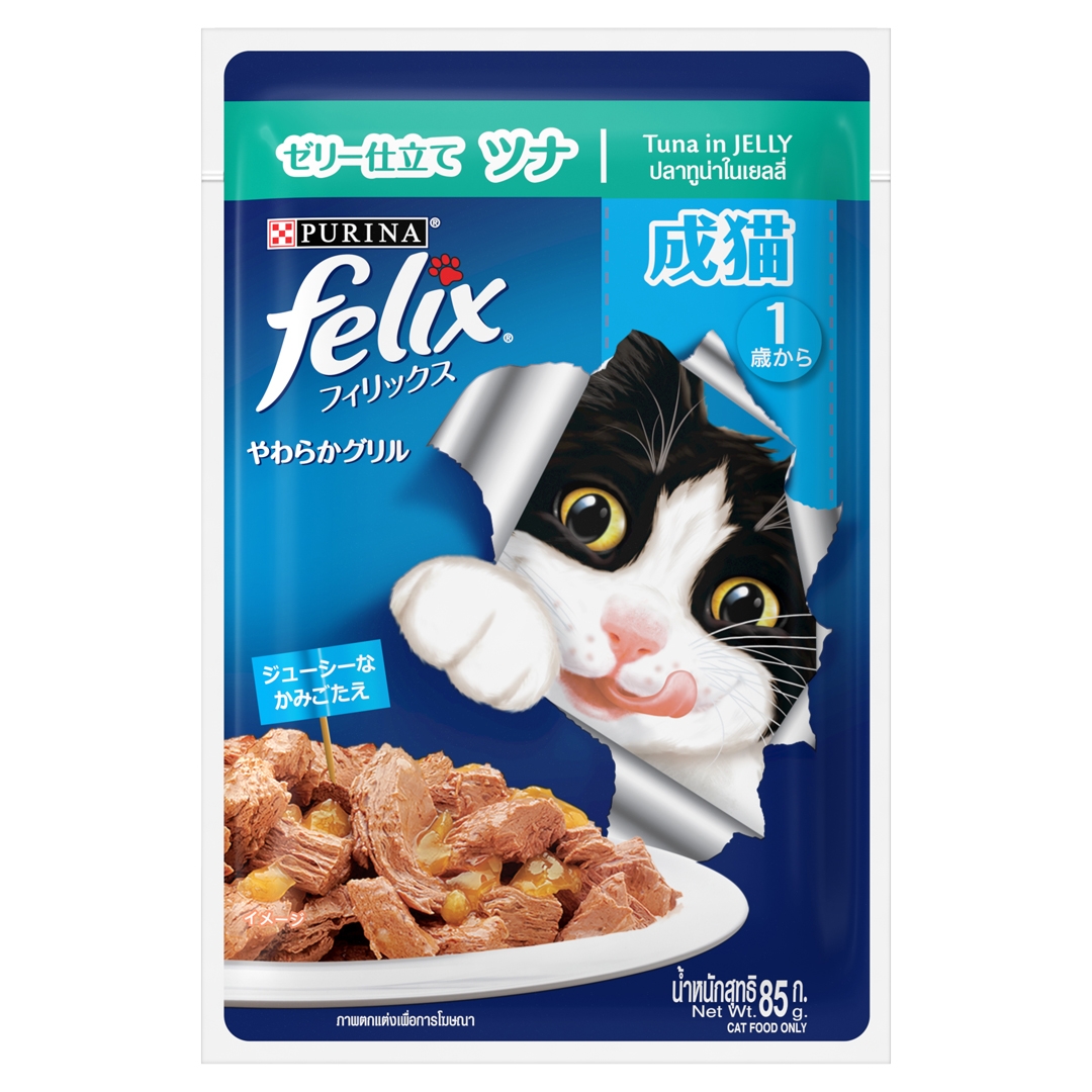 Iga felix 2024 cat food